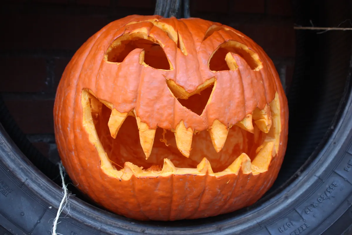 Carved jack-o-lantern with a toothy grin