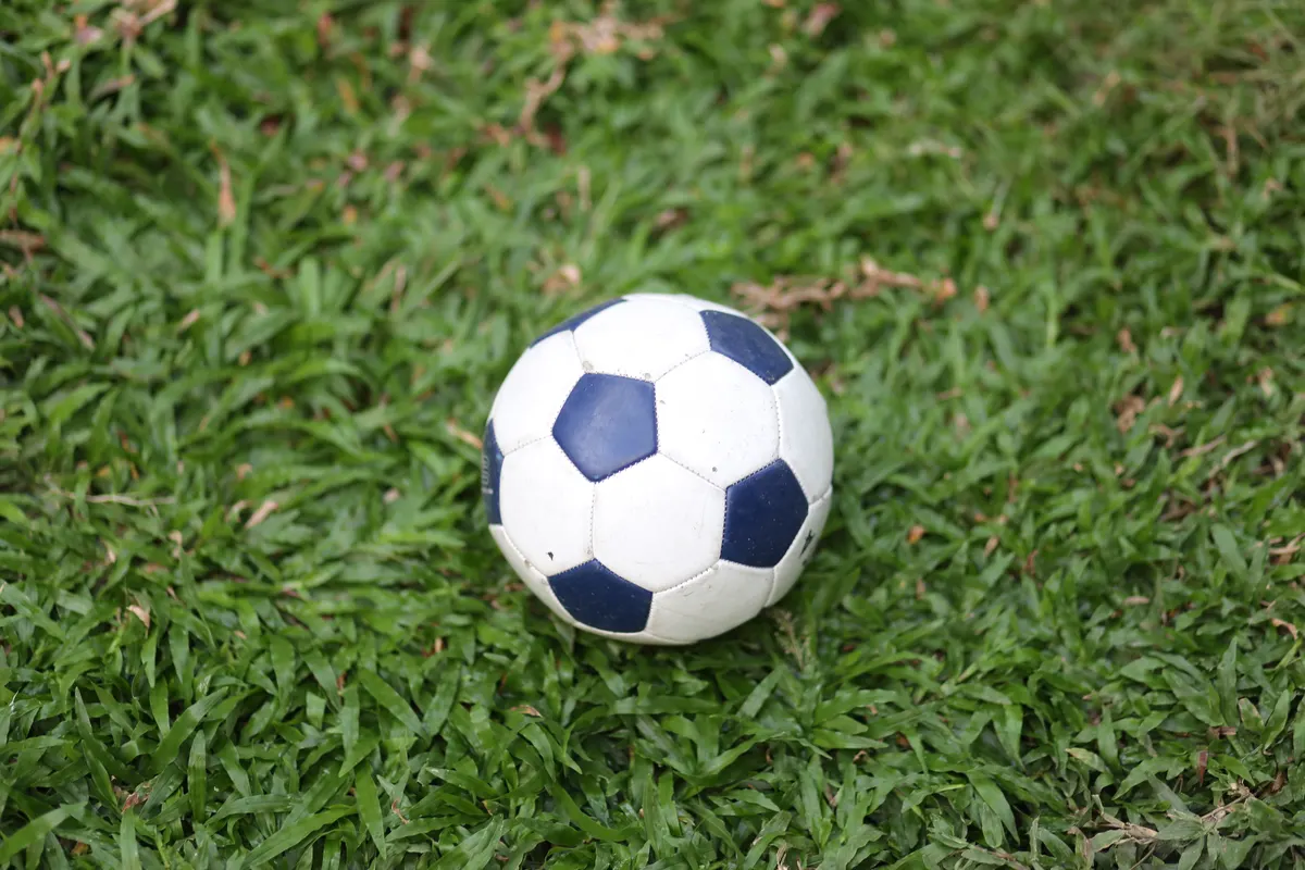A soccer ball resting on green grass