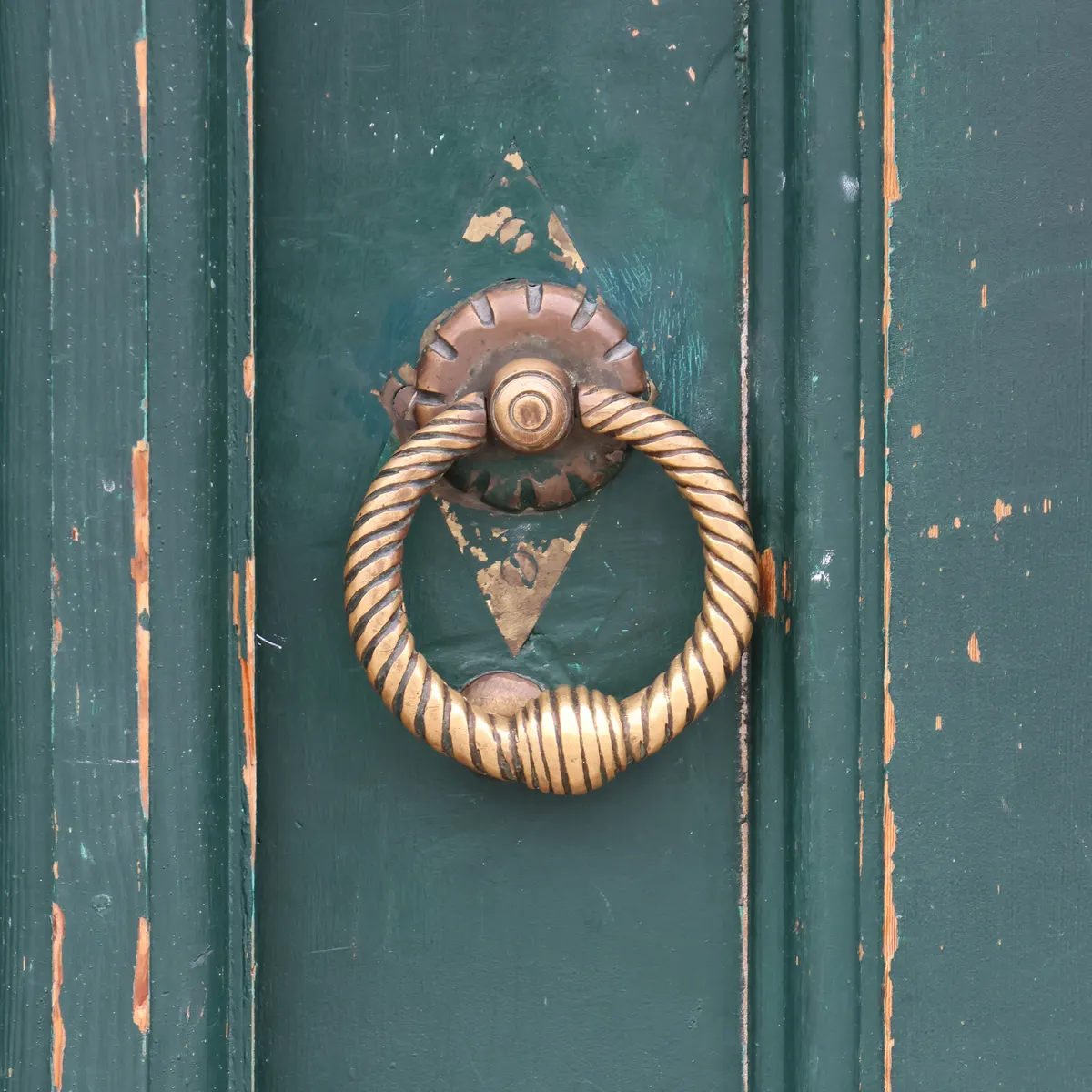 A brass rope ring knocker on an old green wooden door