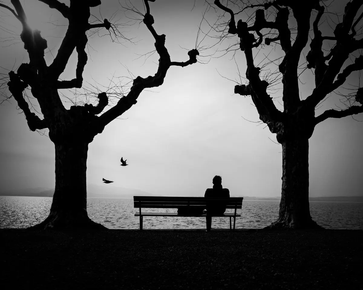 Silhouette of a person sitting alone on a bench by a lake