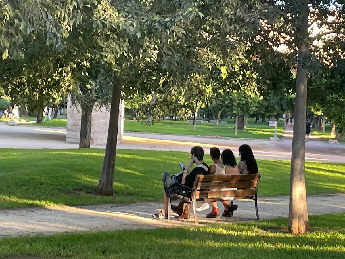Friends sitting together on a park bench