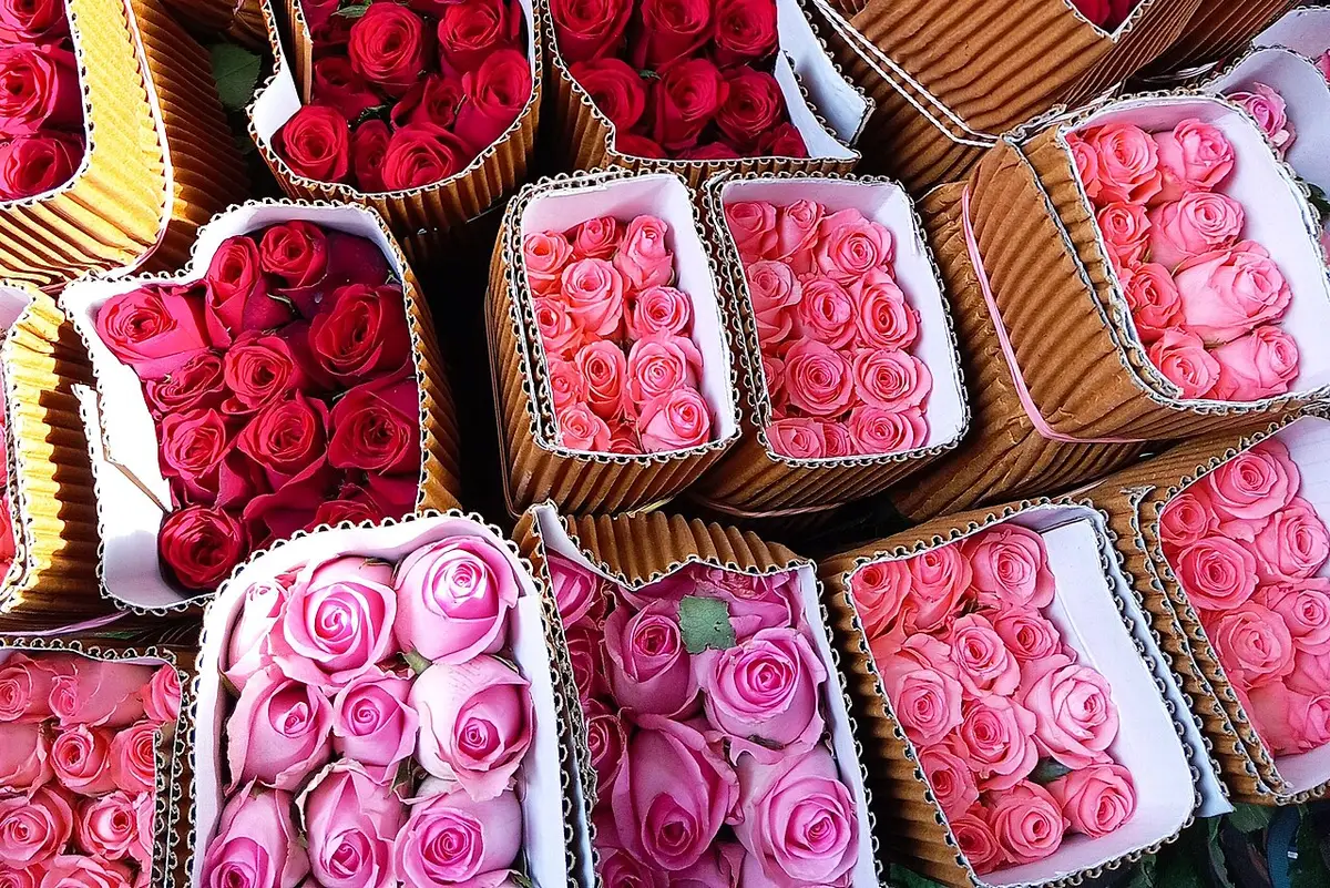 Boxes of red, deep pink and light pink roses at a flower market