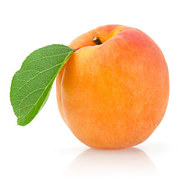 Apricot - खुबानी
