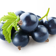 Black currants - काले करंट