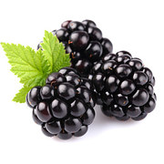 Blackberries - कले शतूत