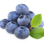 Blueberries - ब्लू बैरीज़