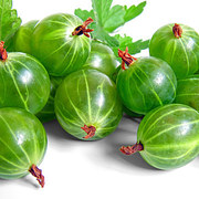 Gooseberries - करौंदे