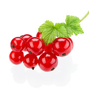 Red currants - लाल बेरी
