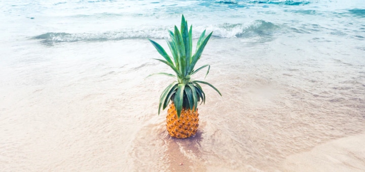 Fruit Vergin