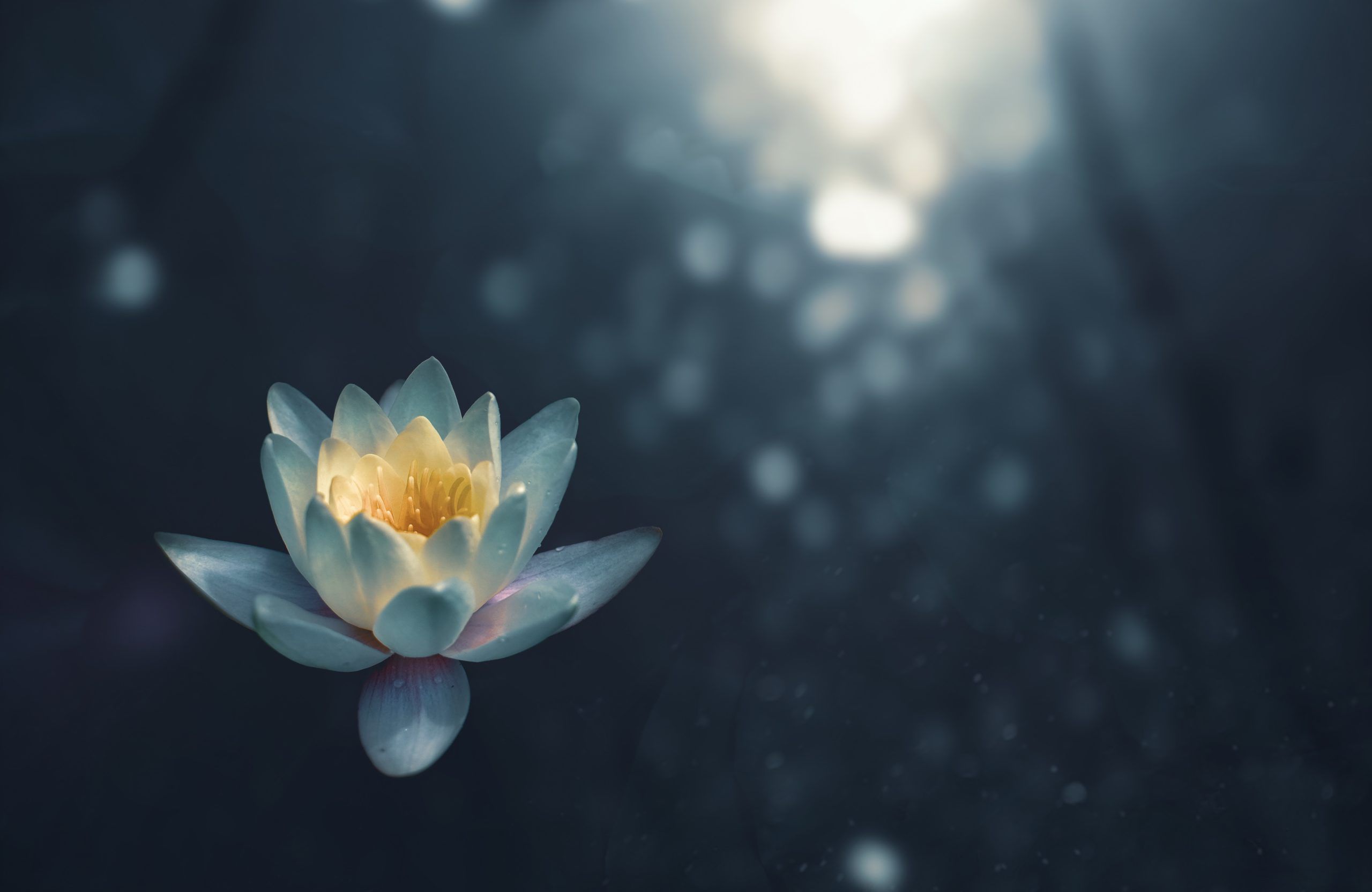 17 Life Changing Motivational Sadhguru Quotes